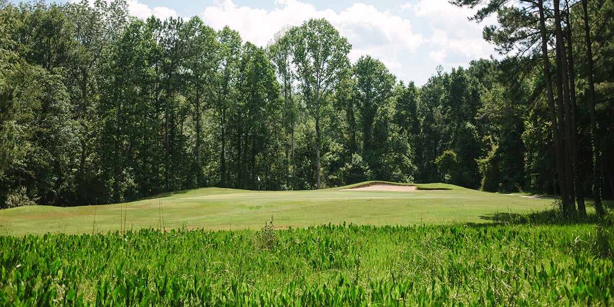 Hole-11-0003-1